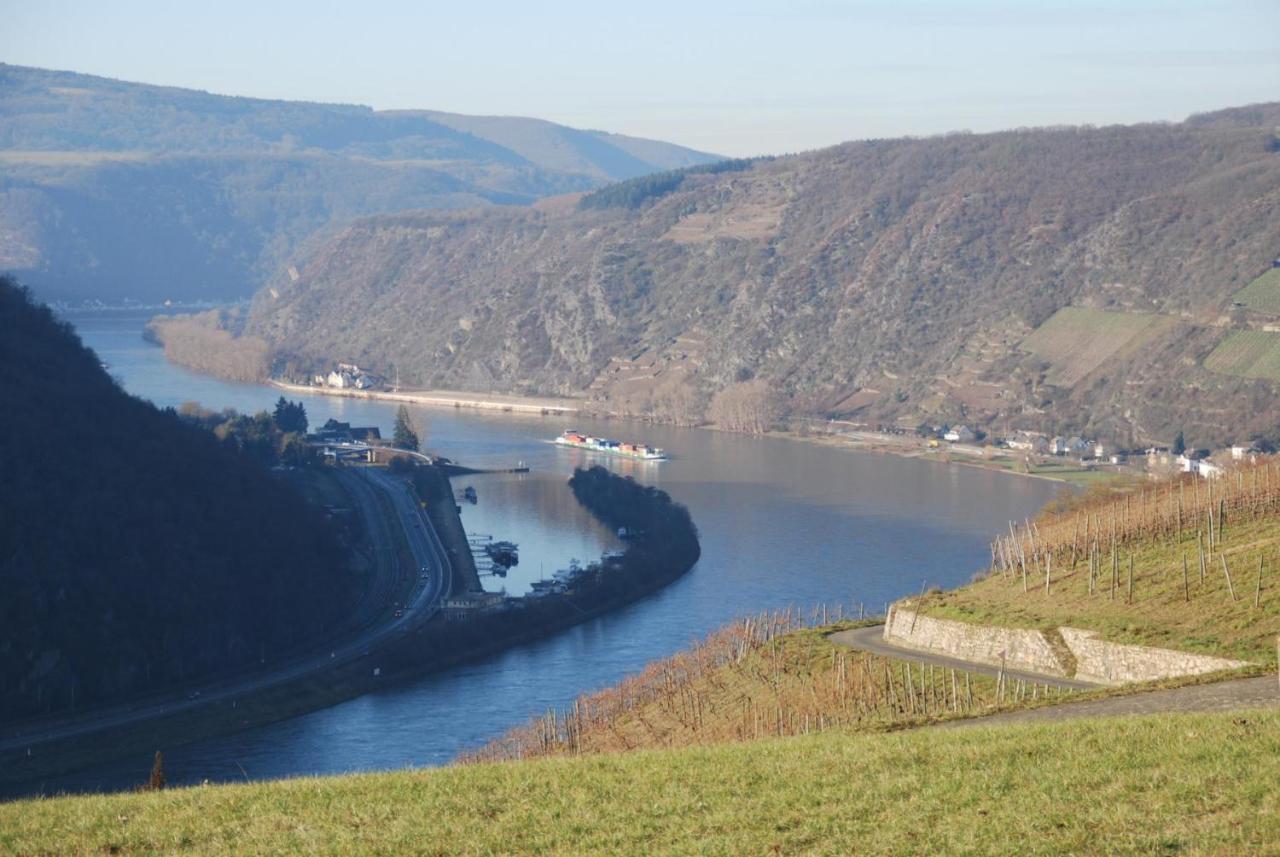 Paradiesisch Wohnen - Loreley Sankt Goarshausen Dış mekan fotoğraf