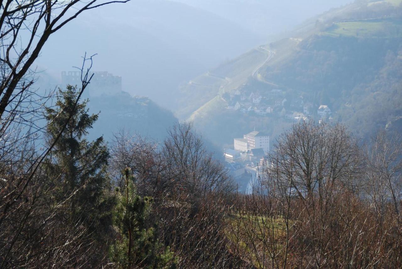 Paradiesisch Wohnen - Loreley Sankt Goarshausen Dış mekan fotoğraf